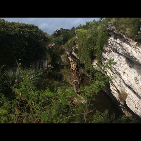 Meet your Posher, Lulu - Picture 1 of 1